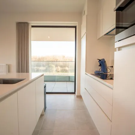 One With Terrace And Dune View By Interhome * Blankenberge